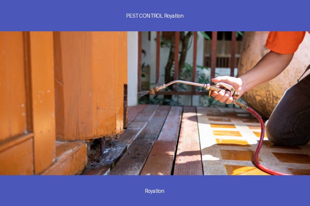 PEST CONTROL Royalton